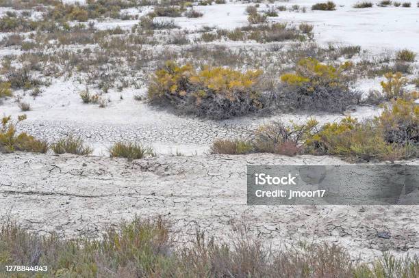 Desert Views In Nevada Stock Photo - Download Image Now - Color Image, Desert Area, Horizontal