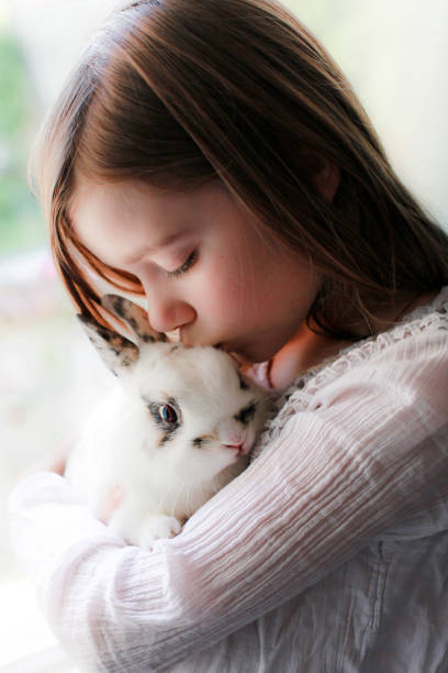 Little girl kissing her rabbit stock photo