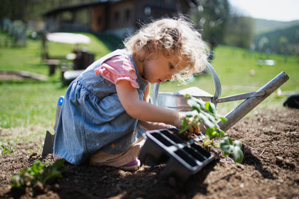 petite fille plantant à l’extérieur dans le jardin, concept de mode de vie durable. - strawberry plant photos et images de collection