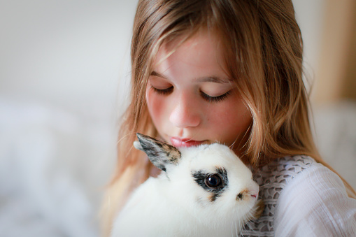 portrait of a little girl who kisses her rabbit tenderly