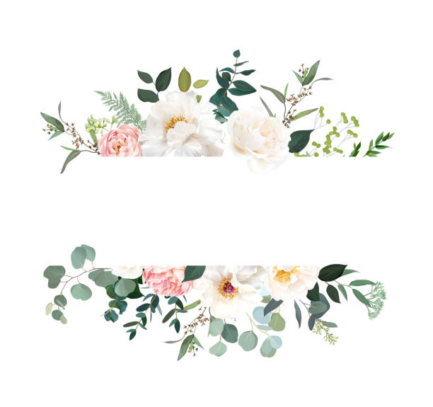 복고풍 의 섬세한 벡터 디자인 꽃 수평 배너 - season spring rose branch stock illustrations