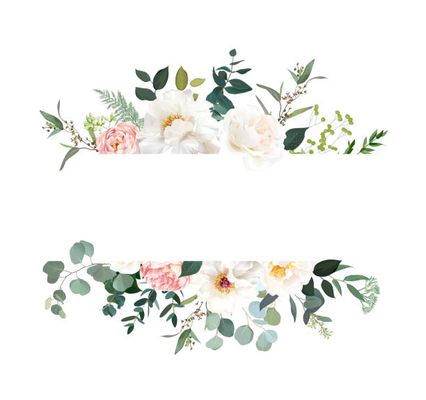 Retro delicate vector design flower horizontal banner Retro delicate vector design flower horizontal banner. Creamy peony, pink garden rose, white ranunculus, eucalyptus, greenery, sage and blush. Wedding floral garland. Watercolor. Isolated and editable marriage stock illustrations