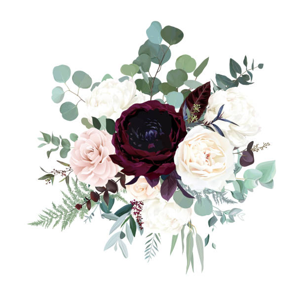 Silver sage green, pink blush, burgundy red and white flowers vector design bouquet Silver sage green, pink blush, burgundy red and white flowers vector design bouquet. Peony, rose, camellia, ranunculus, eucalyptus, greenery. Wedding floral garland. Watercolor. Isolated and editable flowering plum stock illustrations