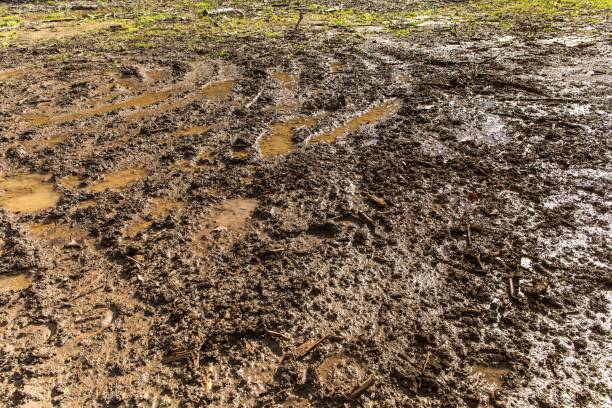 istock Mud texture background. Muddy road after the rain. Puddles on the road. 1278848699