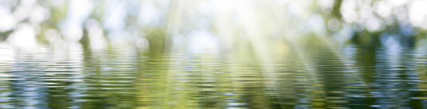istock image of a water surface illuminated by rays of light 1278850854