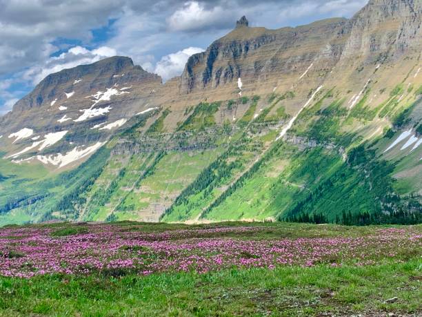 istock Summer Landscape at Logan Pass 1278851042