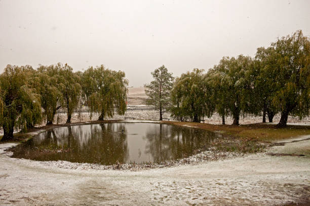 istock Snowy day in Africa 1278852950