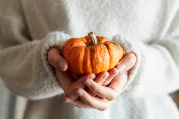 istock Girl hands holding a orange pumpkin 1278857570