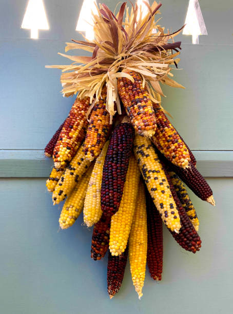 stile santa fe: decorazione autunnale con mais indiano; sfondo blu - autumn corn indian corn decoration foto e immagini stock