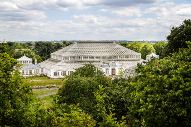 View of the Temperate House Glasshouse under renovation in Kew Gardens, Kew, London, UK View of the Temperate House Glasshouse under renovation in Kew Gardens, Kew, London, UK on 15 July 2014 kew garden stock pictures, royalty-free photos & images