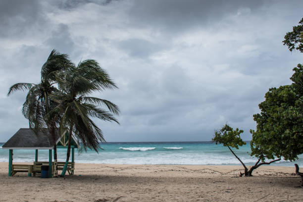 istock Hurricane Delta in Cayman 1278860899