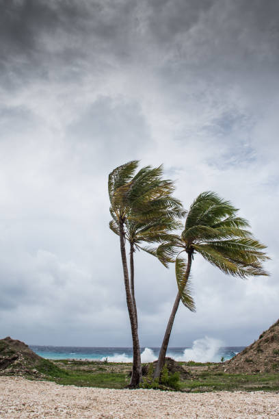 istock Hurricane Delta in Cayman 1278860985