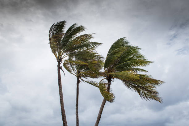 istock Hurricane Delta in Cayman 1278861007