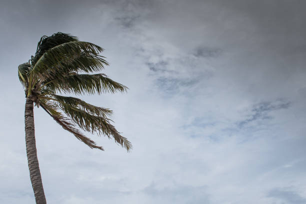 delta dell'uragano a cayman - tempesta tropicale foto e immagini stock