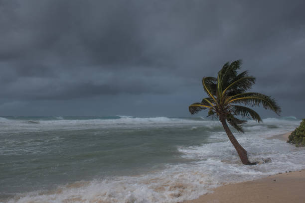 istock Hurricane Delta in Cayman 1278861743