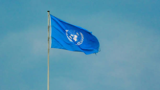 flagge der vereinten nationen - un stock-fotos und bilder