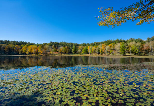 istock Beautiful autumn scenery in North Carolina. 1278871852