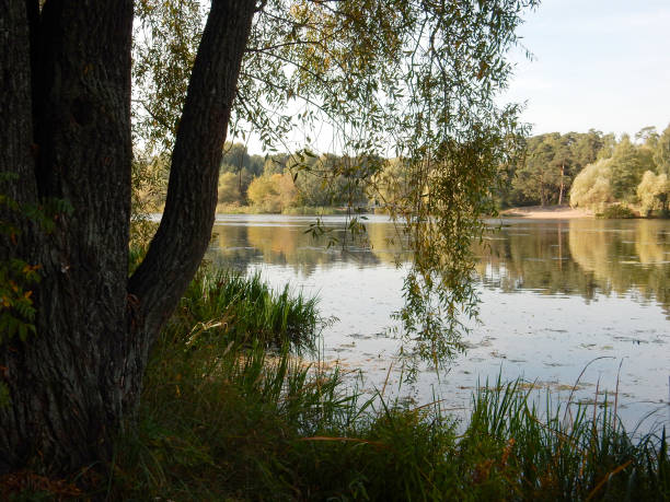 istock early autumn on the lake 1278875660