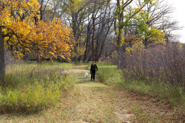 istock Autumn trail walking with dog 1278877204