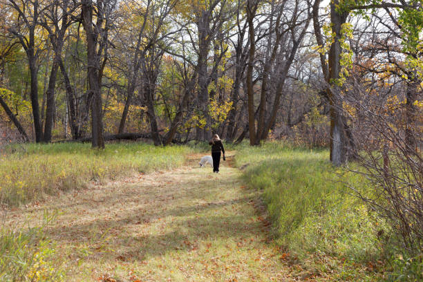 istock Autumn trail walking with dog 1278877205