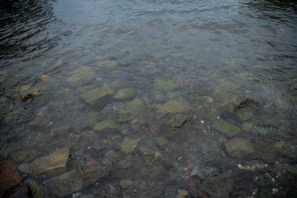 Texture of a stream or a river - small waves reaching the shore