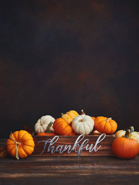 Pumpkin Collection with Thankful Message for Thanksgiving. Fall Background