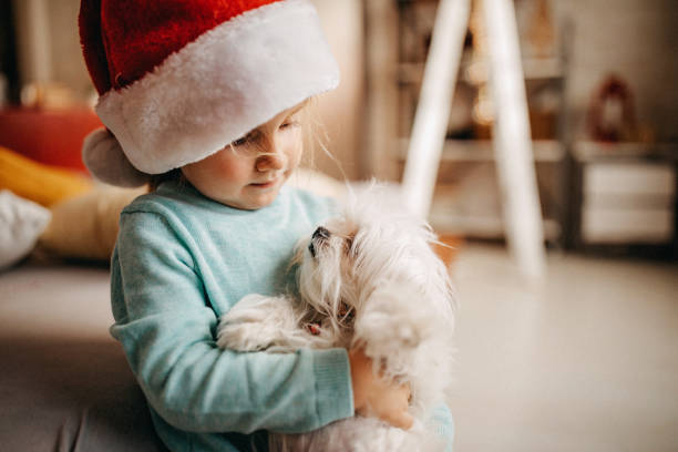 istock Christmas is in our home 1278883356