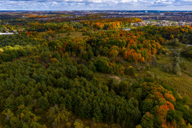 istock William Granger Greenway at Boyd Conservation Park in fall, Woodbridge, Vaughan, Canada 1278885053