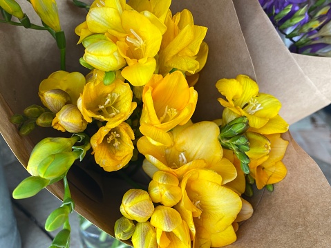 High angle closeup photo of a bunch of beautiful vibrant yellow freesia flowers and buds wrapped in simple brown paper in a florist shop