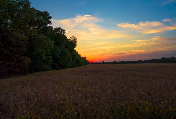 istock idyllic, colorful sun setting over midwest farm landscape 1278890232