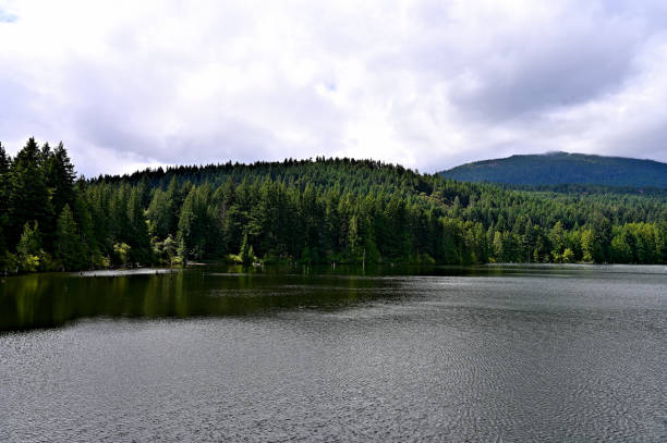 istock Westwood Lake Park 1278891992