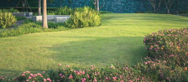 istock Garden and landscaping for background. 1278892925