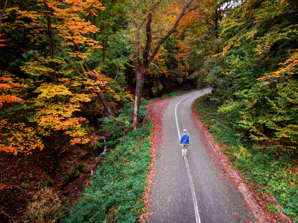 istock High angle view of man walking alone on road in autumn forest 1278897122