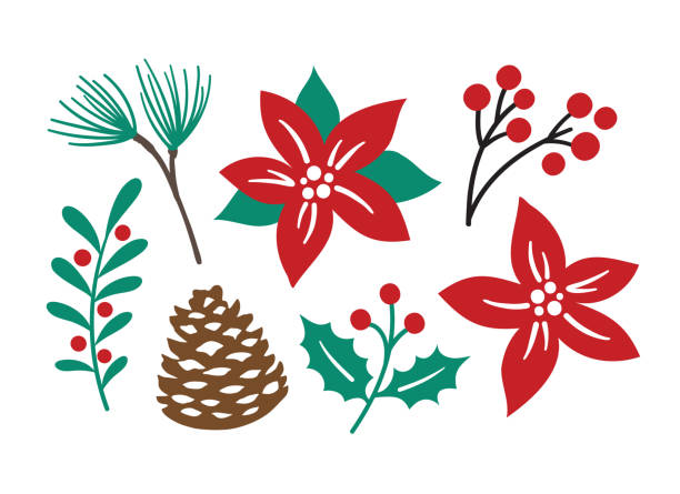 ilustrações, clipart, desenhos animados e ícones de vetor de folhagem de plantas de natal decorativa - poinsettia