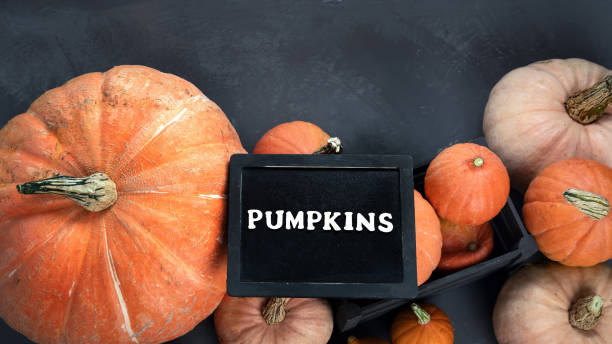 istock Assortment of raw pumpkins 1278899984