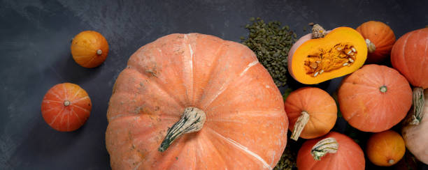istock Assortment of raw pumpkins 1278899986