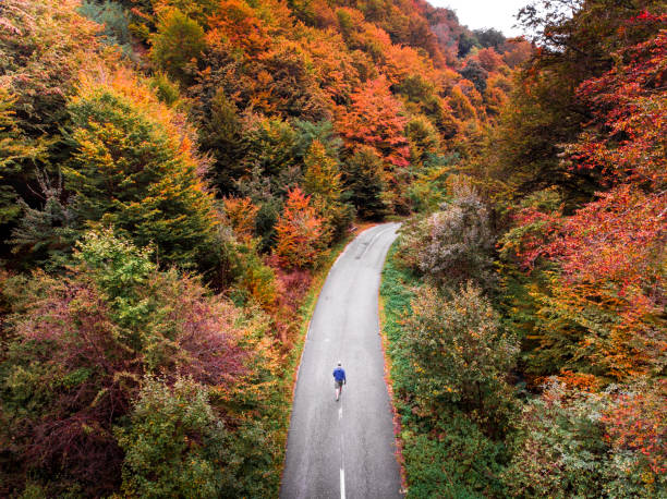 vue d’angle élevé de l’homme marchant seul sur la route dans la forêt d’automne - scenics autumn mystery vibrant color photos et images de collection