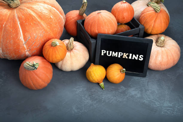 istock Assortment of raw pumpkins 1278900813