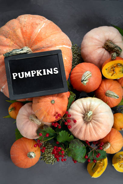 istock Assortment of raw pumpkins 1278900816