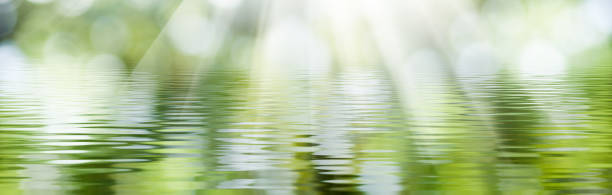 istock image of a water surface illuminated by rays of light 1278902339