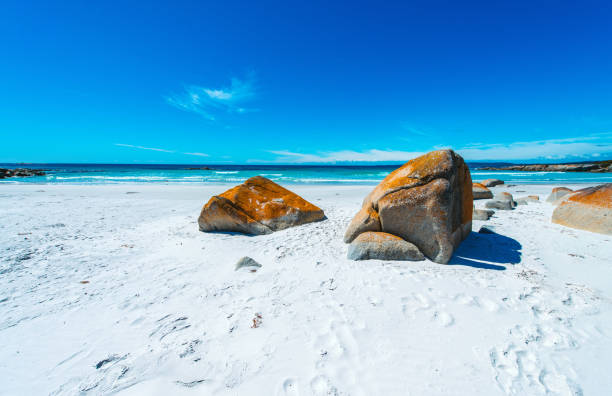 istock Beach of Australia 1278903248