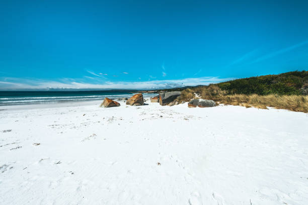 istock Beach of Australia 1278903250