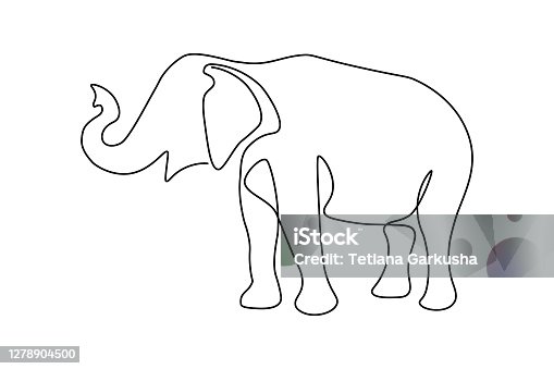 istock Elephant 1278904500