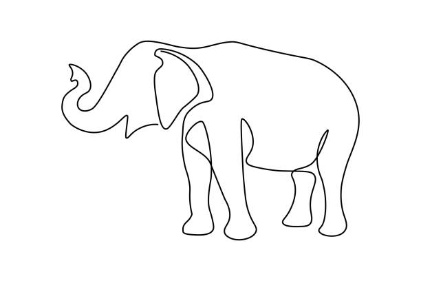 Elephant Cute elephant in continuous line art drawing style. Minimalist black linear sketch isolated on white background. Vector illustration elephant art stock illustrations