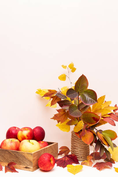 istock Autumn composition apples and colored fallen leaves. 1278911250