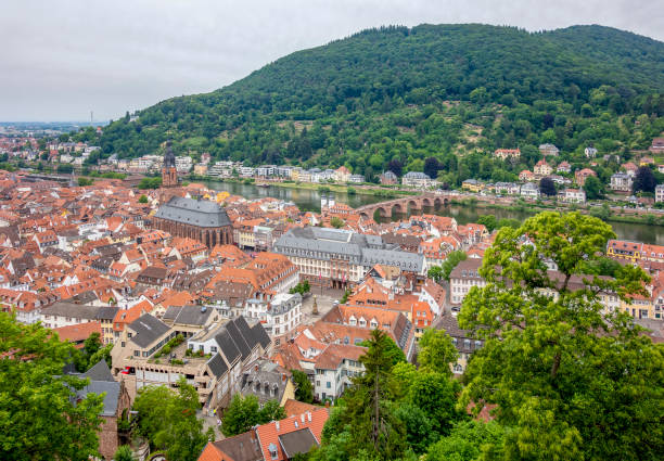 istock Heidelberg aerial view 1278915645