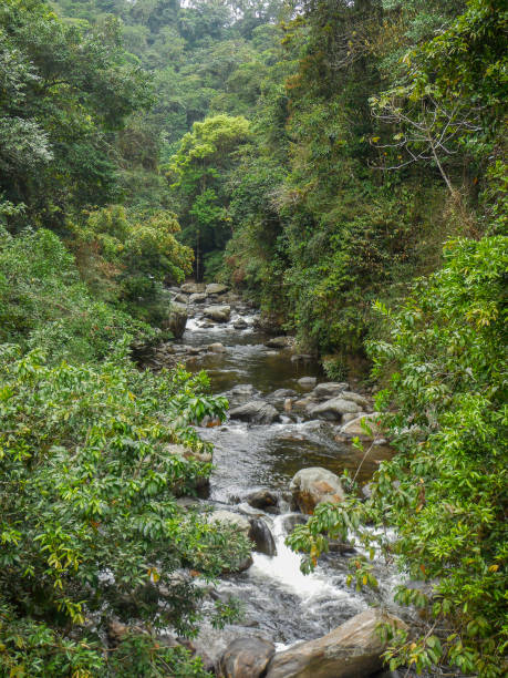 istock Sierra Nevada de Santa Marta 1278916472