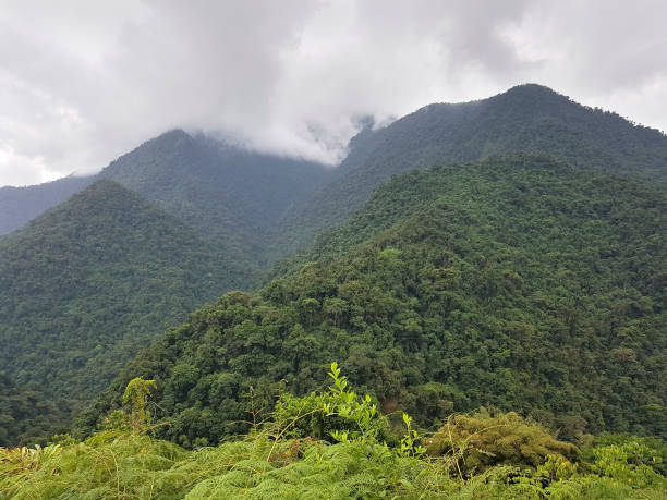 istock Sierra Nevada de Santa Marta 1278916520