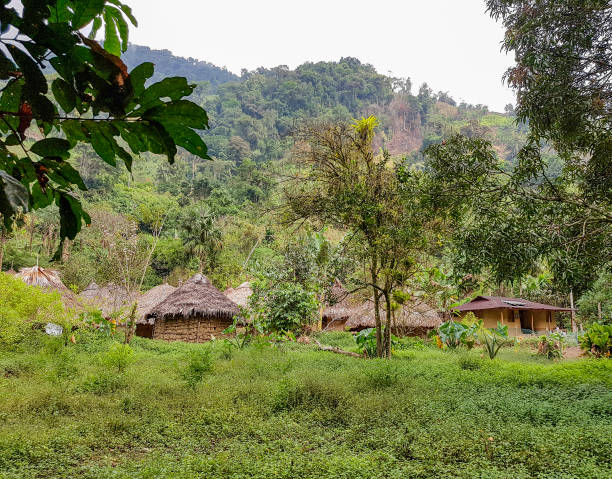 istock village at the Sierra Nevada de Santa Marta 1278916631