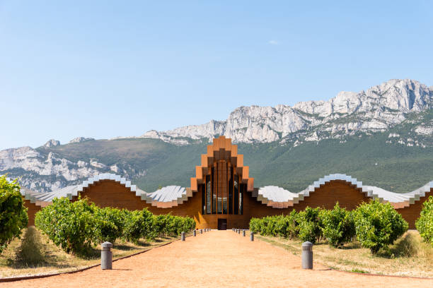 vineyards in autumn in La Rioja in Spain